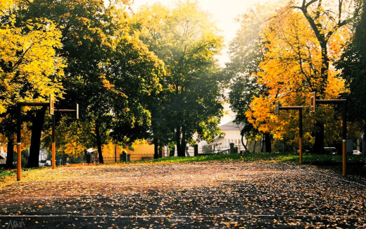 1754229 (a): :1920x1200